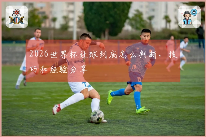 2026世界杯让球到底怎么判断，技巧和经验分享