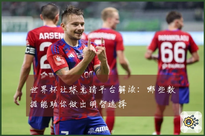 世界杯让球竞猜平台解读：哪些数据能助你做出明智选择